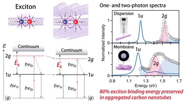 fig toc 251106 cmprss
